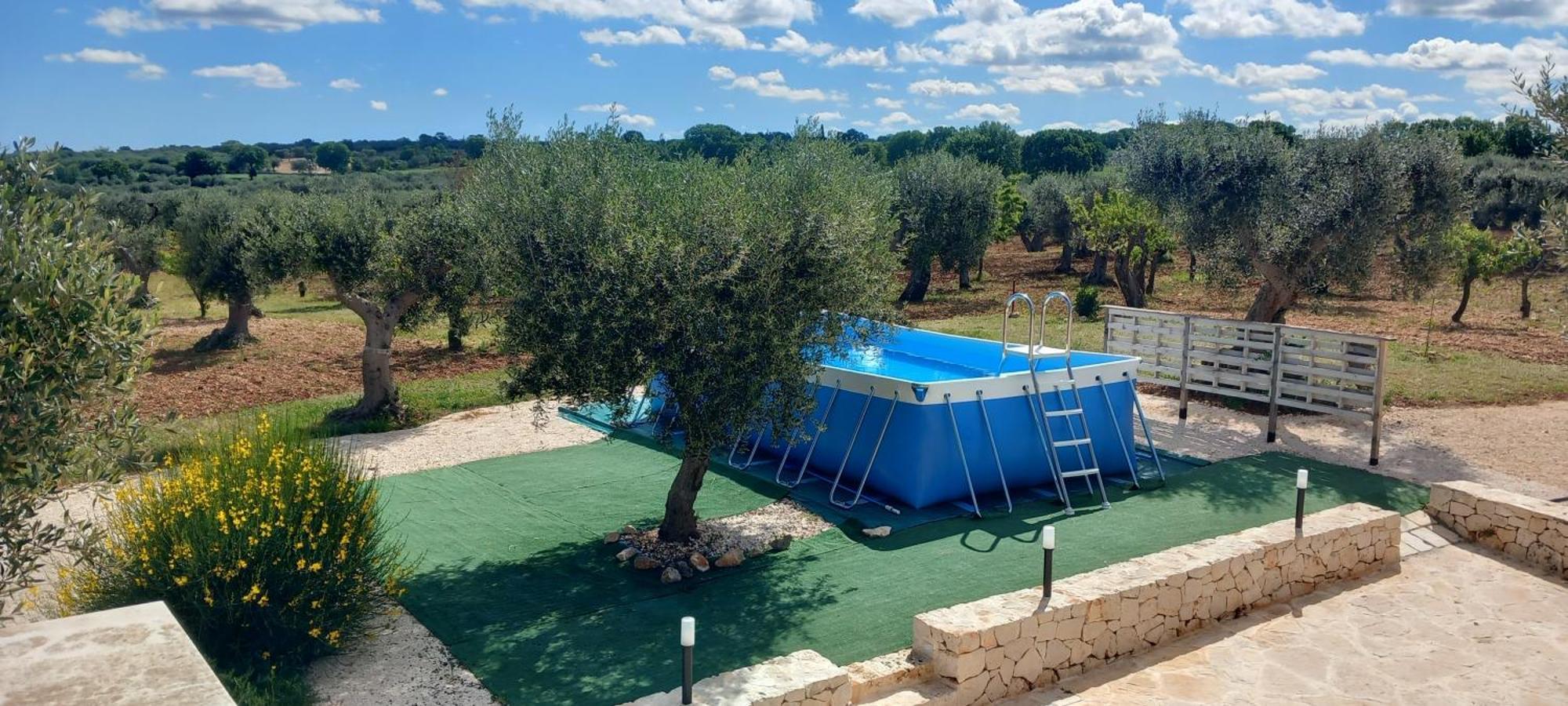 阿尔贝罗贝洛Trullo Dell' Edera Con Piscina Privata公寓 外观 照片